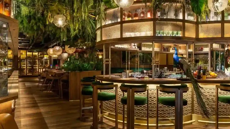 Amazonico London - A Sensory Journey Through the Amazon in the heart of Berkeley Square, Mayfair