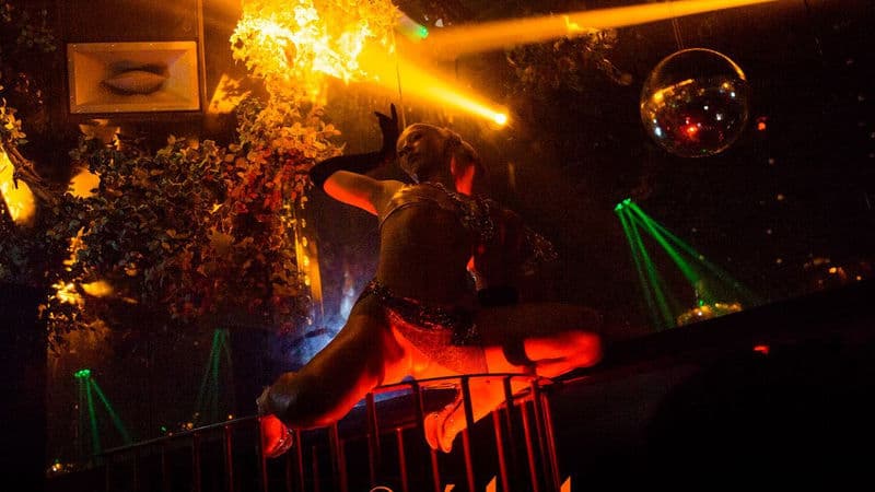 Wyld Club - An Eco-Conscious Nightclub in Mayfair, London